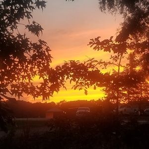 Meet your Posher, Velisha